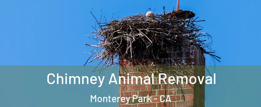  Chimney Animal Removal Monterey Park - CA